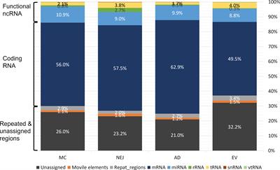 Role of Fasciola hepatica Small RNAs in the Interaction With the Mammalian Host